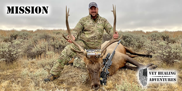 MISSION - Elk Photo